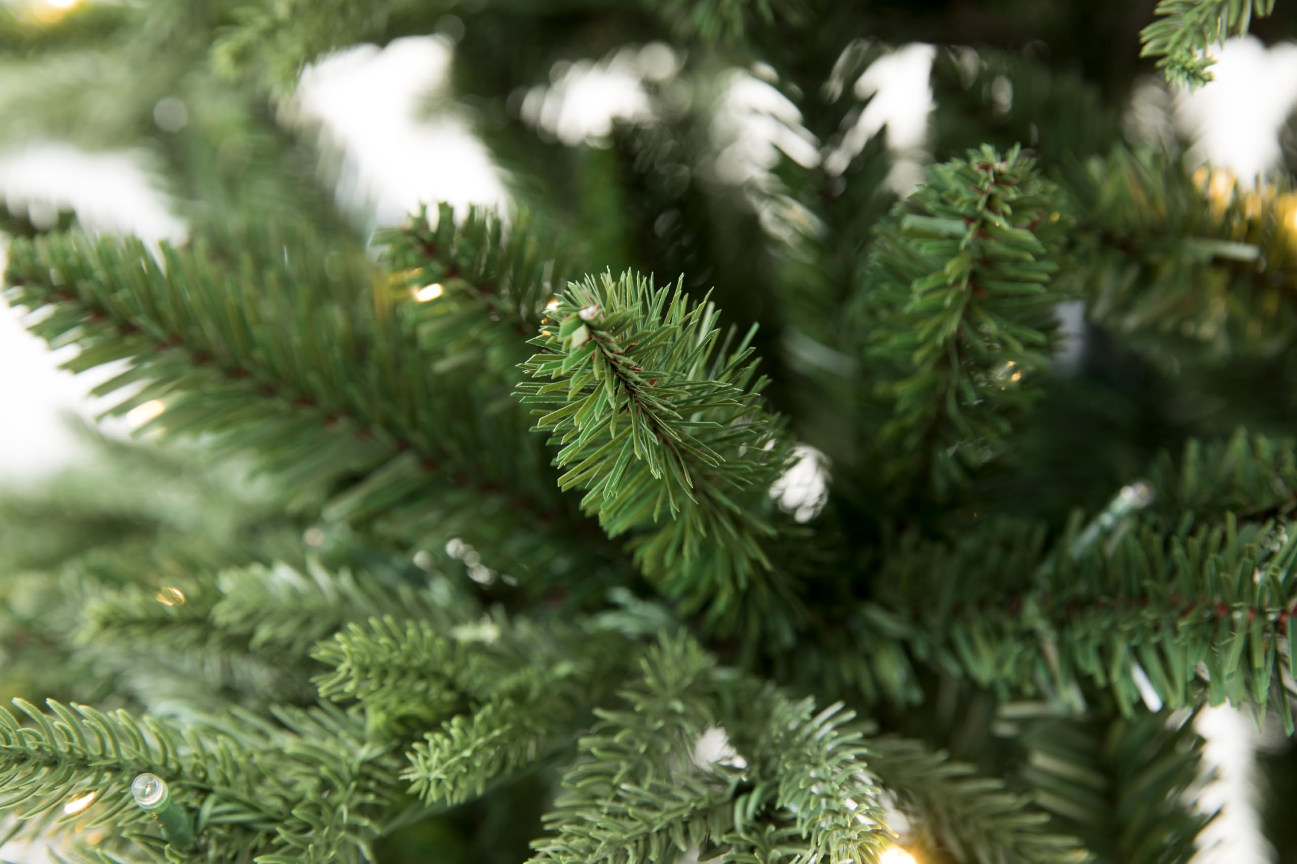 Full Shape Nordmann Fir Christmas Tree Unlit