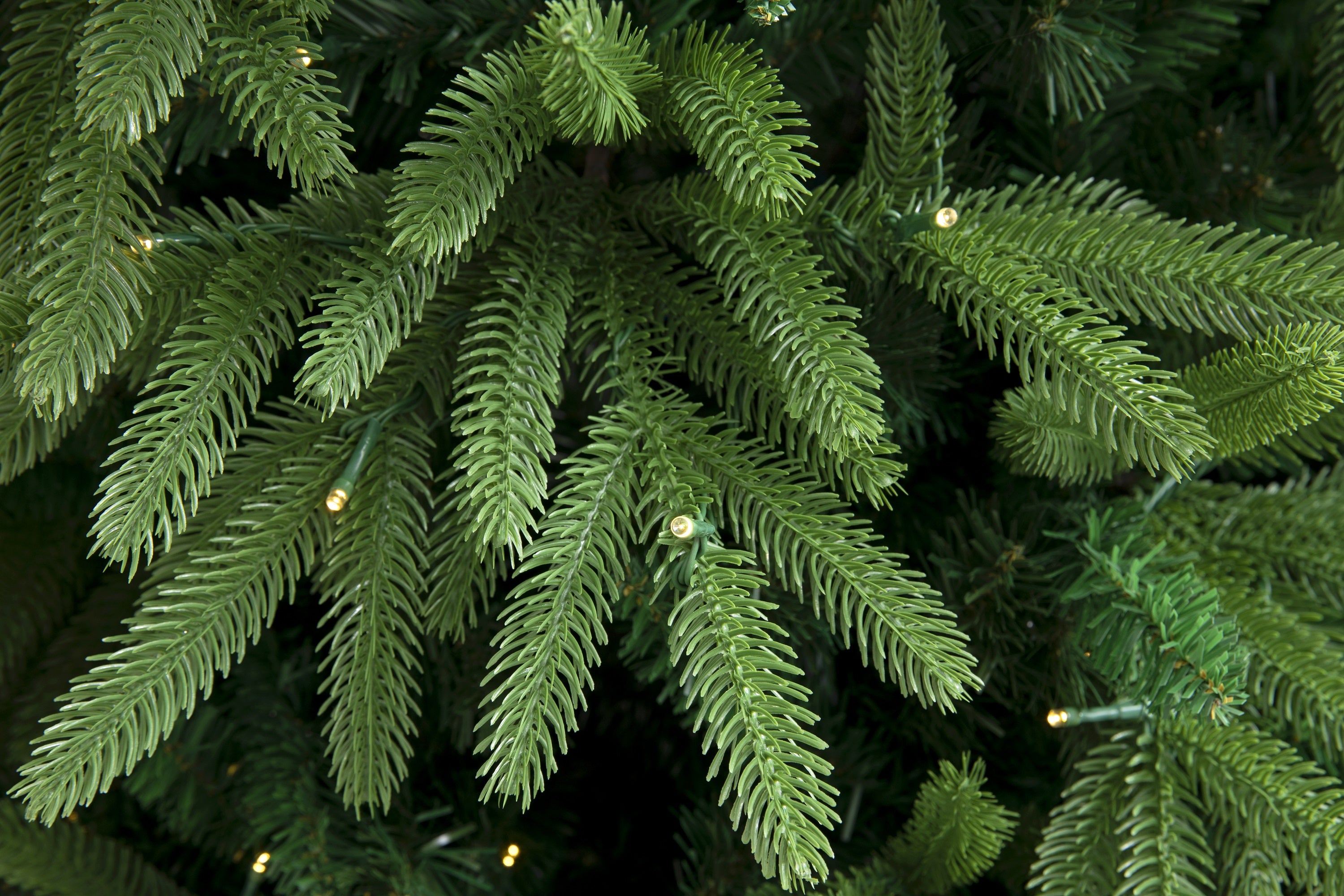 Evergreen Valley Fraser Fir Christmas Tree
