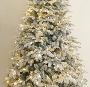 6Ft Deep Forest Snow Spruce Pre-lit Christmas Tree (6ft Pre-lit)