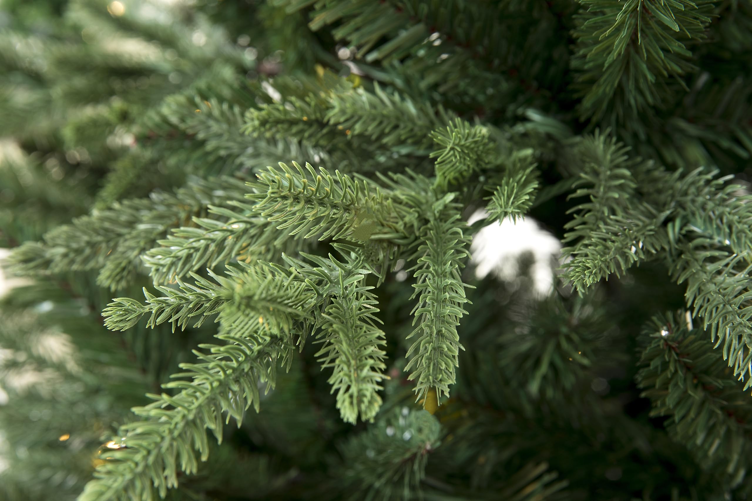 Full Shape Nordmann Fir Christmas Tree Unlit