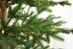 Minimalist Balsam Fir Christmas Tree