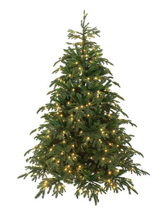 The Realistic Great Fraser Fir Christmas Tree Unlit