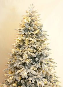 6Ft Deep Forest Snow Spruce Pre-lit Christmas Tree (6ft Pre-lit)