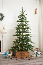 Minimalist Balsam Fir Christmas Tree