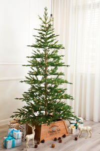 Minimalist Balsam Fir Christmas Tree