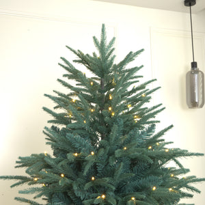 Colorado Icy-Blue Spruce Christmas Tree Pre-lit with LED Lights