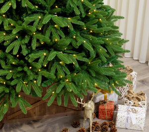 Evergreen Valley Fraser Fir Christmas Tree