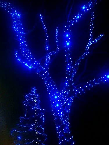 200 LED Lights 65ft 8 Modes Twinkling Patio Lights/Christmas Indoor Outdoor Decoration String Lights (200 LED Multi-Color)